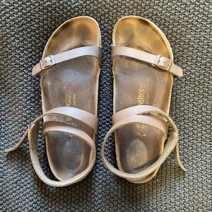 Birkenstock Daloa Sandal - Hazel
